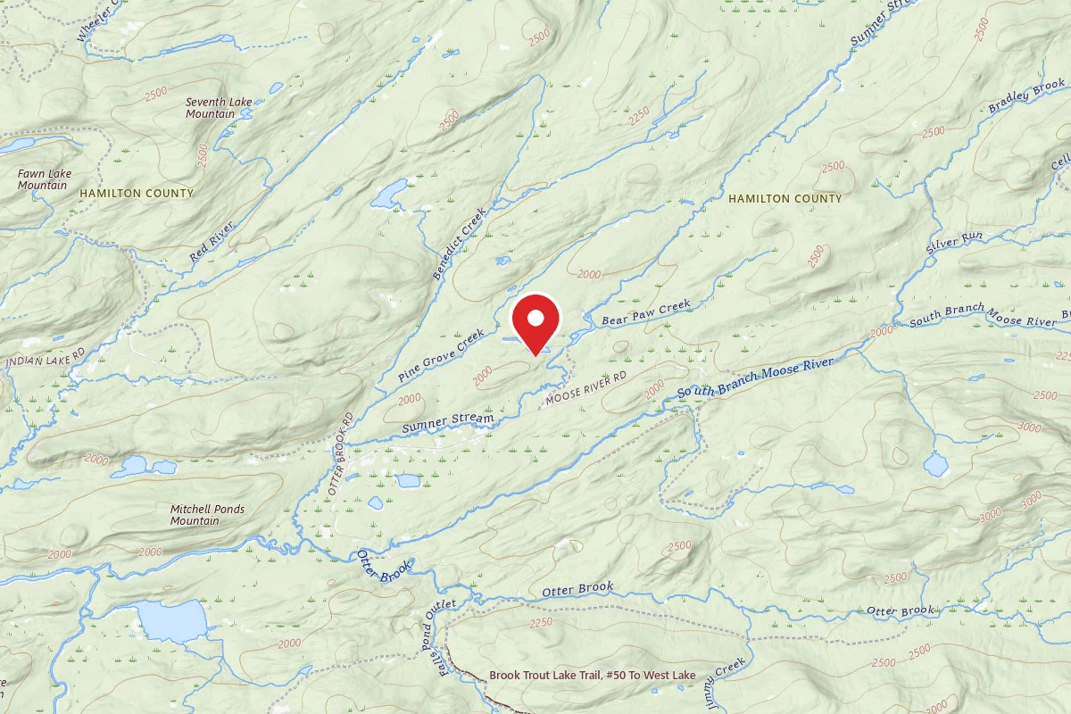 Moose River Plains Campsite 47