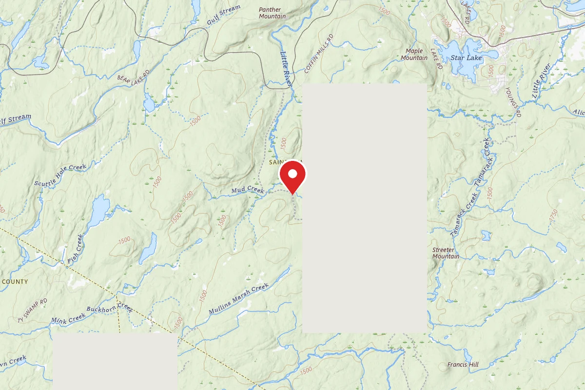 Streeter Lake Road Campsite #6