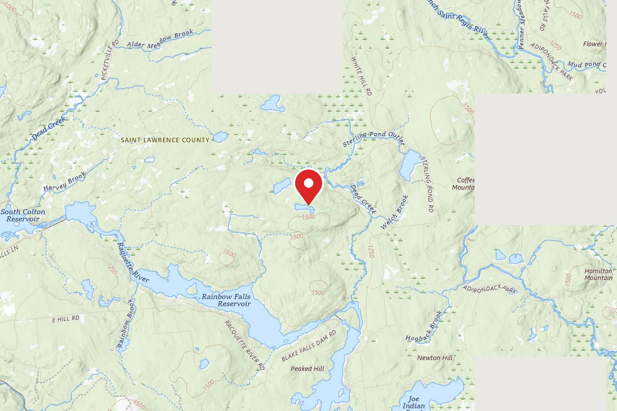 Lillypad Pond Campsite