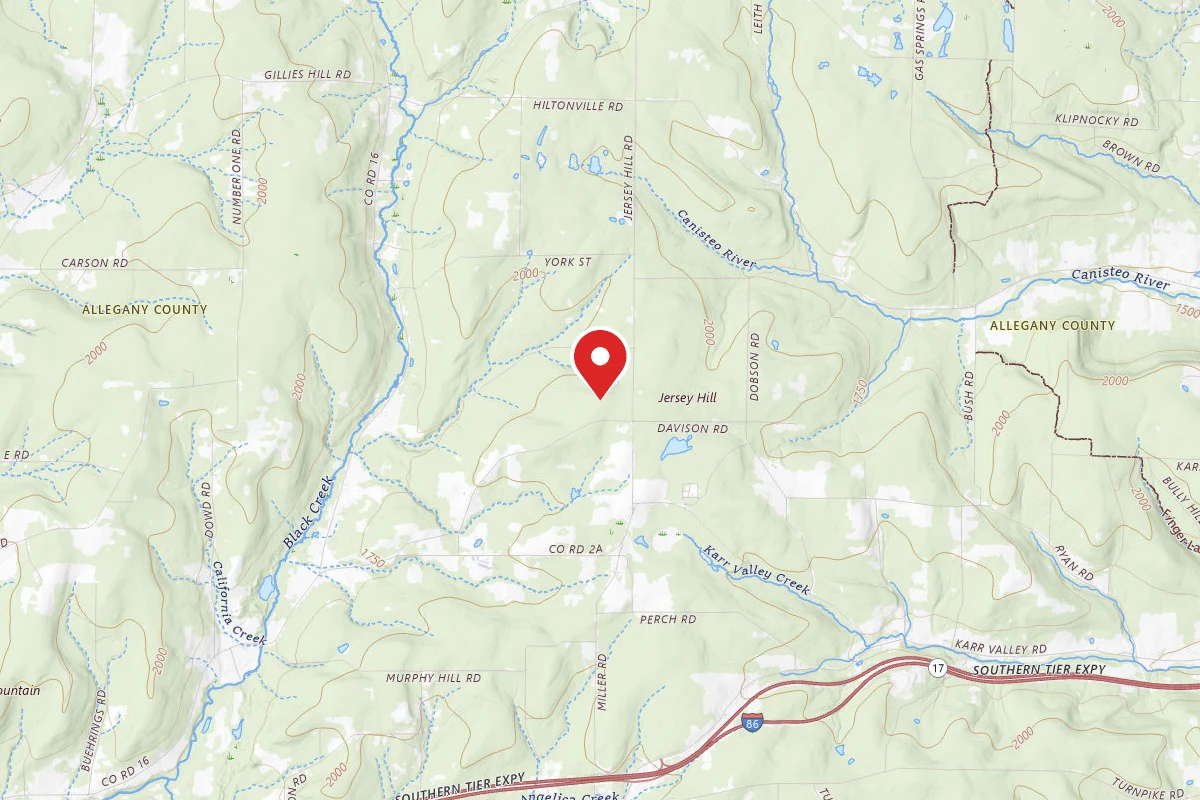 Dispersed Site near 42.3529, -77.8846