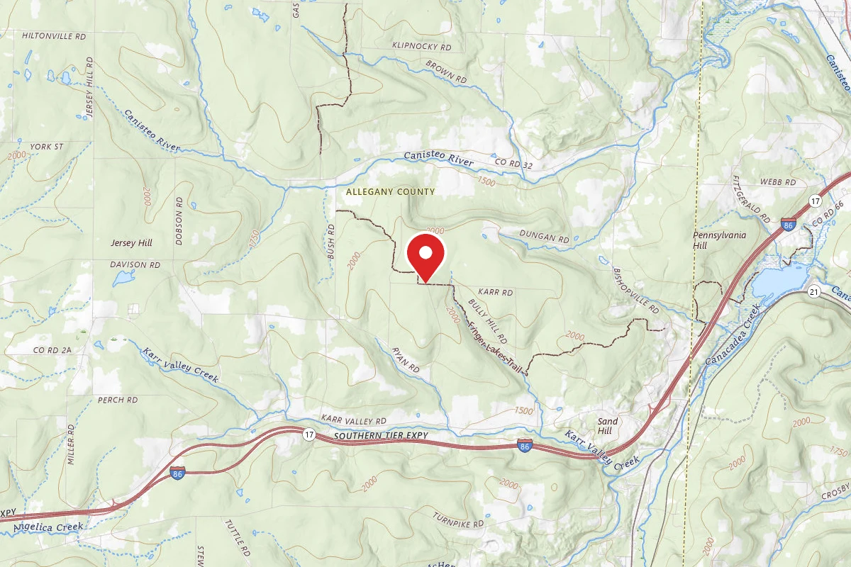 Dispersed Site near 42.3460, -77.7985