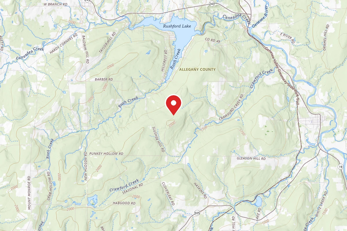 Dispersed Site near 42.3443, -78.1991