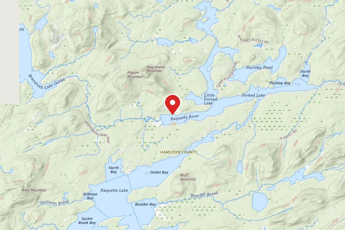 Forked Lake-West End Campsite