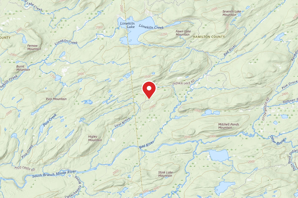 Moose River Plains Campsite 125A