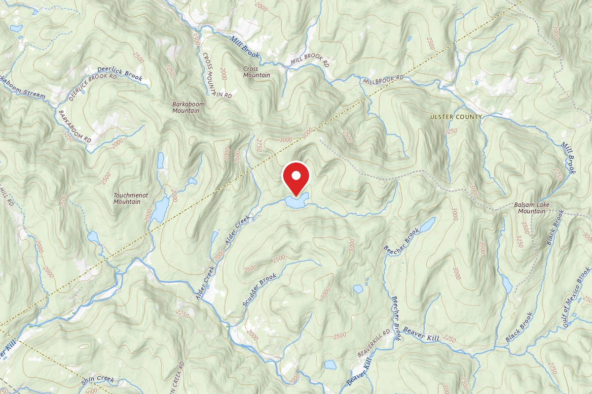 Alder Lake Site #4