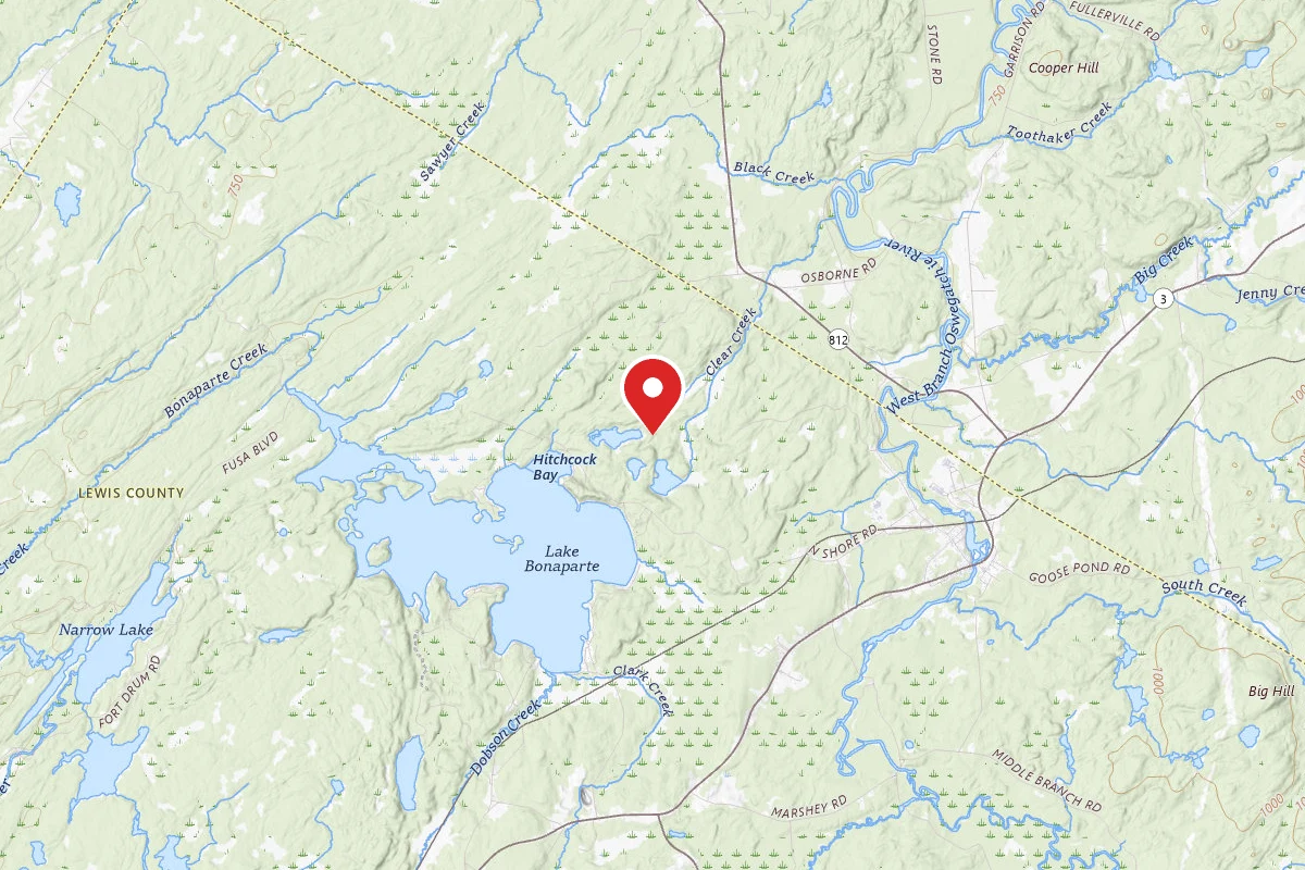 Mud Pond Campsite #3