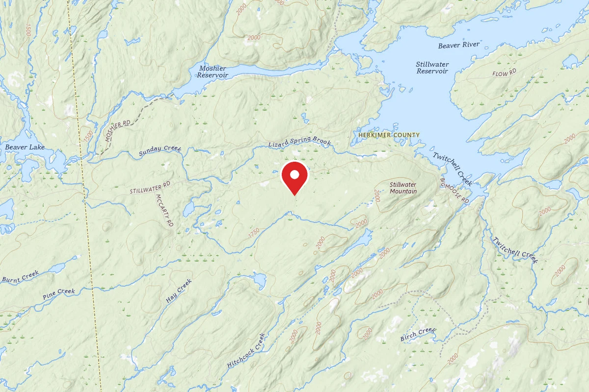 Dispersed Site near 43.8615, -75.0664