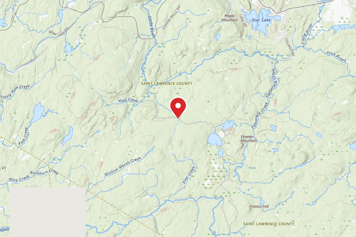 Streeter Lake Road Campsite #9