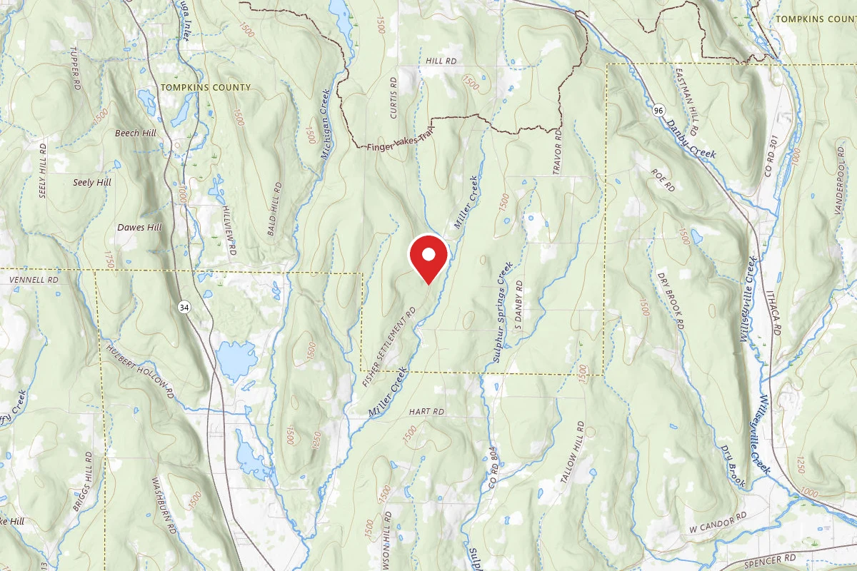 Site 7