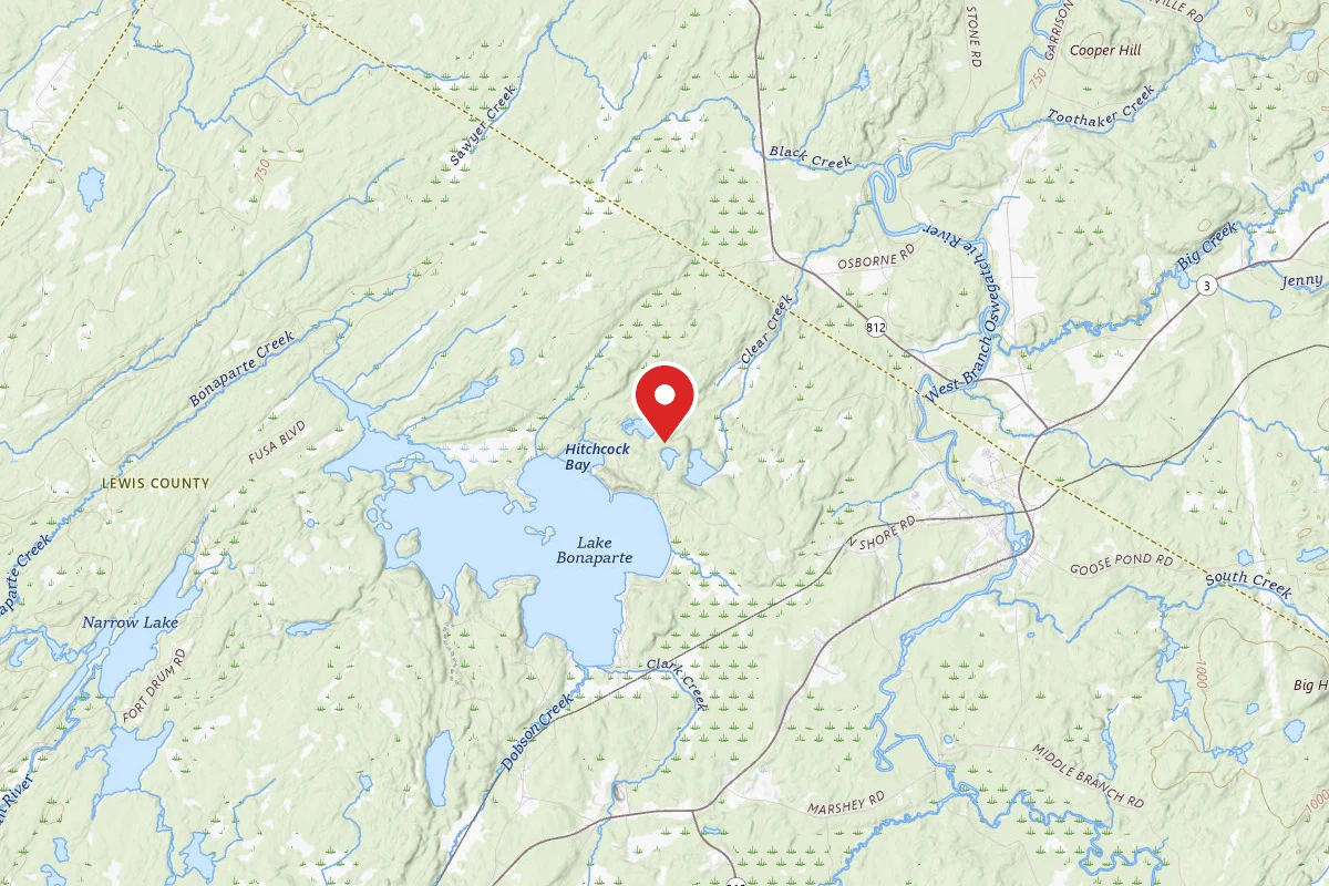 Mud Pond Campsite #2