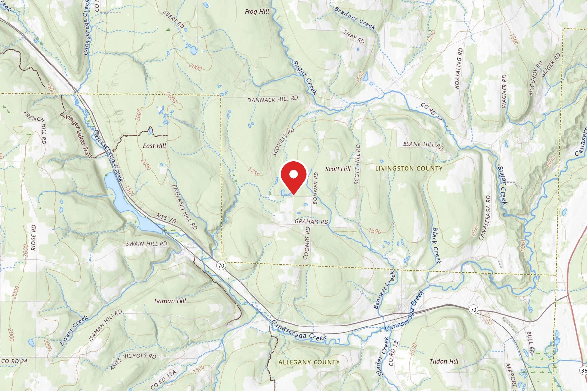 Evergreen Pond Campsite #6