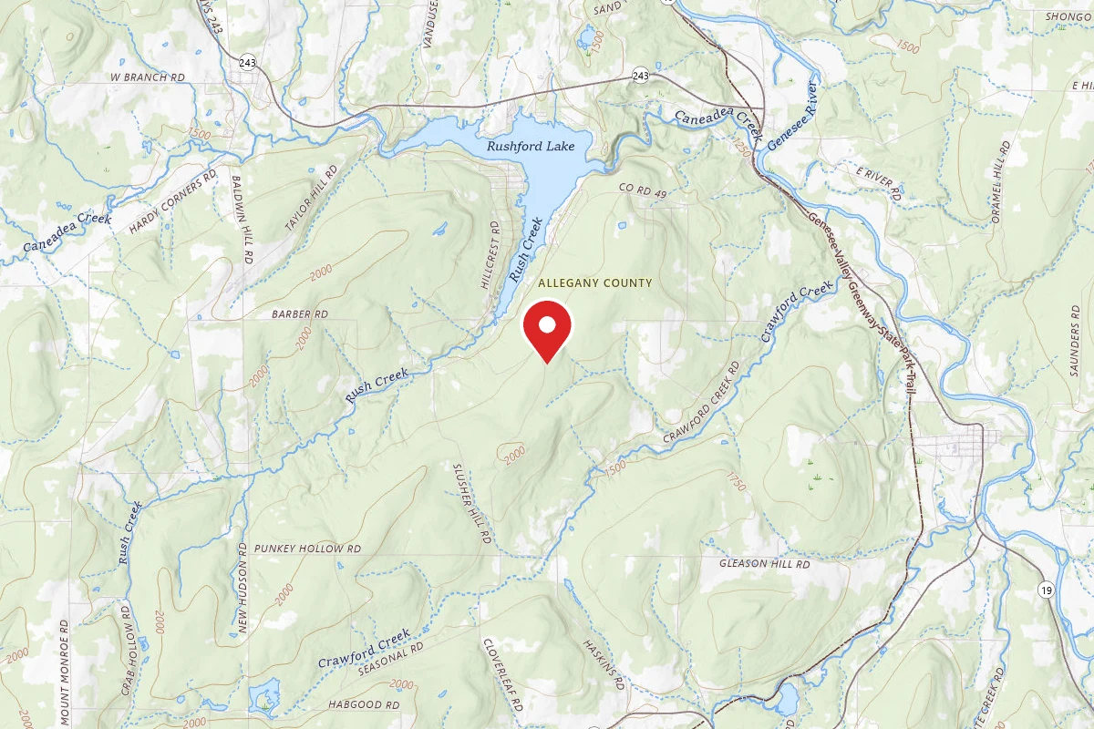 Dispersed Site near 42.3532, -78.1939