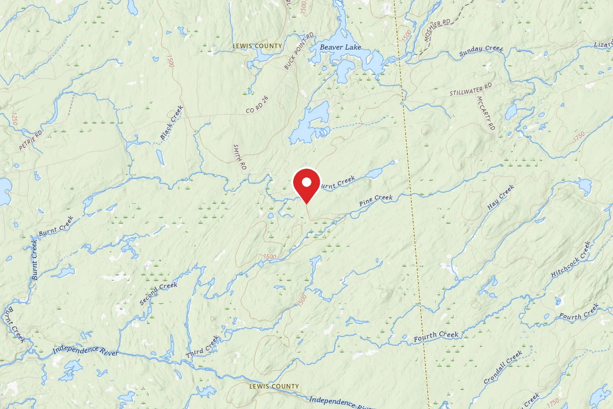 Dispersed Site near 43.8358, -75.1722