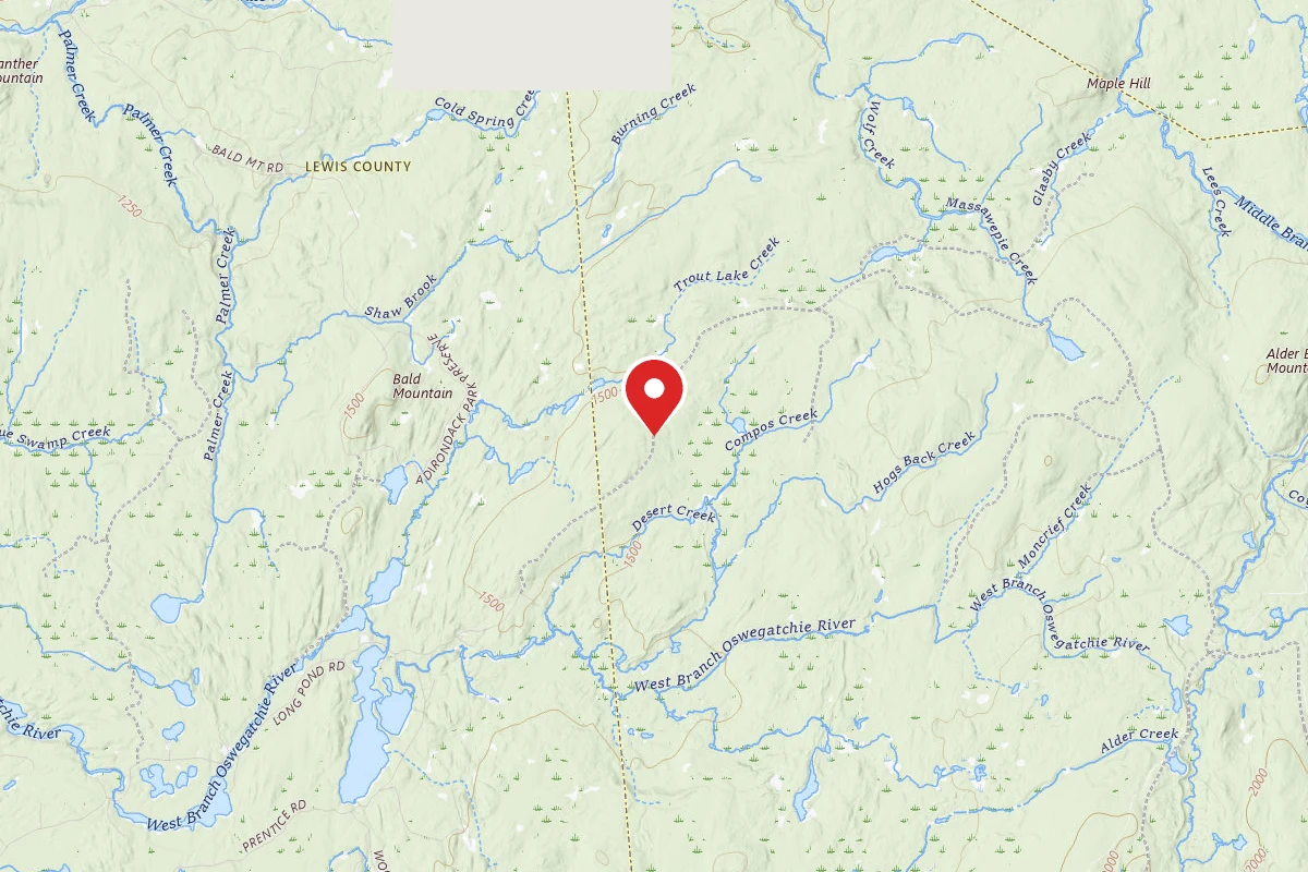 Bear Pond Road Campsite