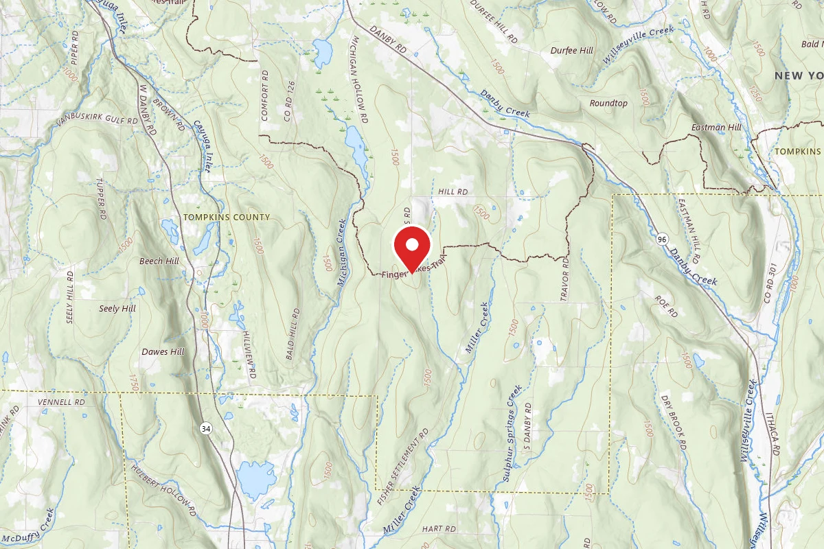 Site 8