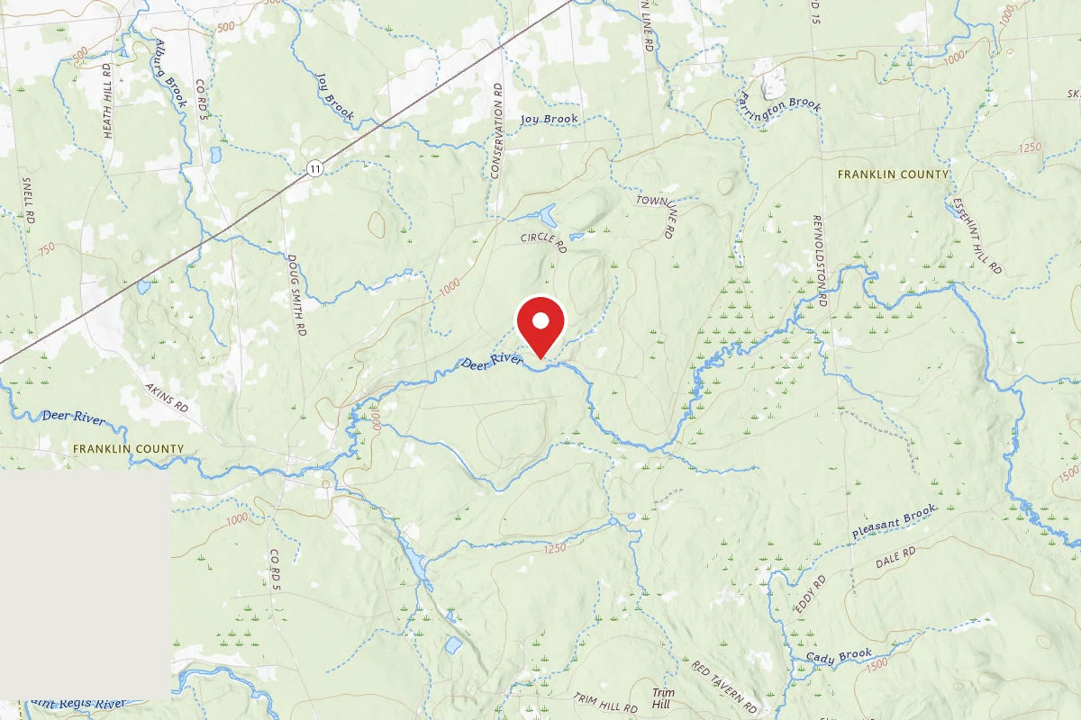 Larch Site