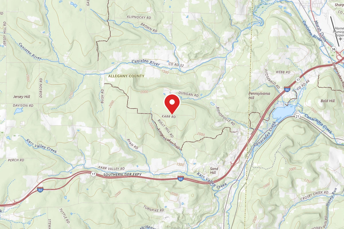 Dispersed Site near 42.3454, -77.7797