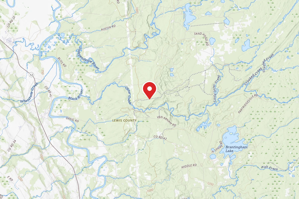 Otter Creek Campsite #6