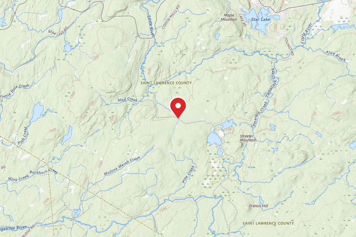 Streeter Lake Road Campsite #11
