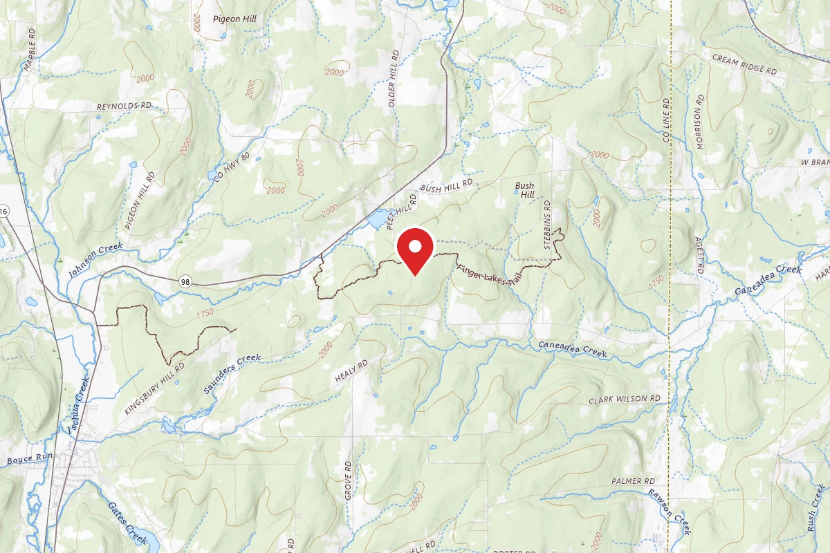 Designated Camp Site