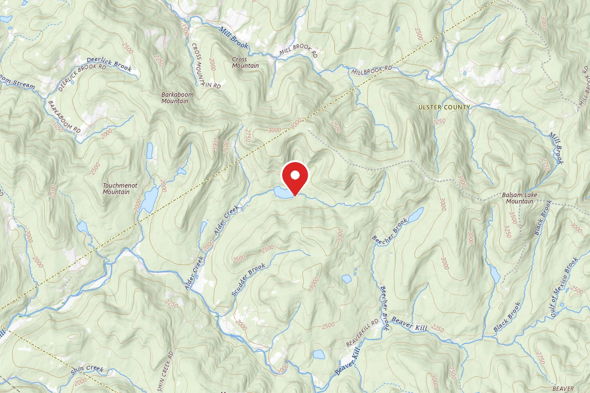 Alder Lake Site #8
