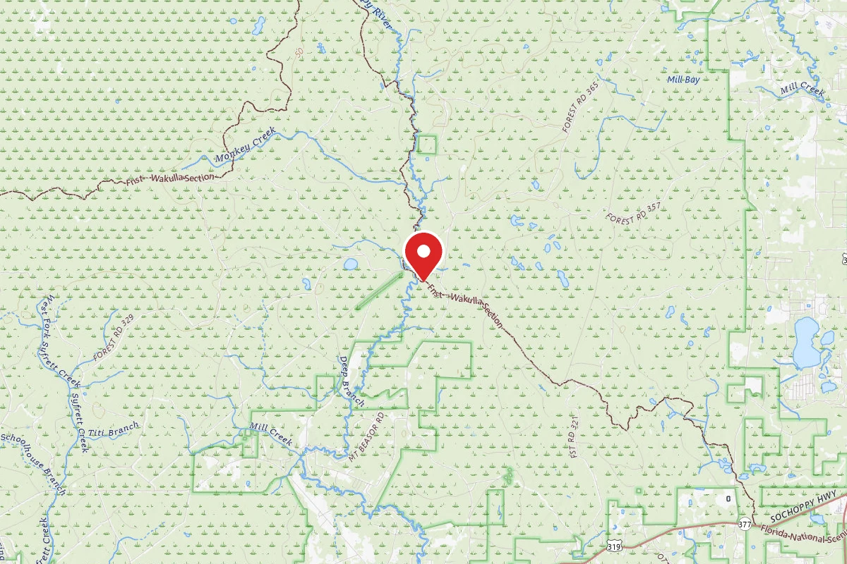 Sopchoppy River Camp
