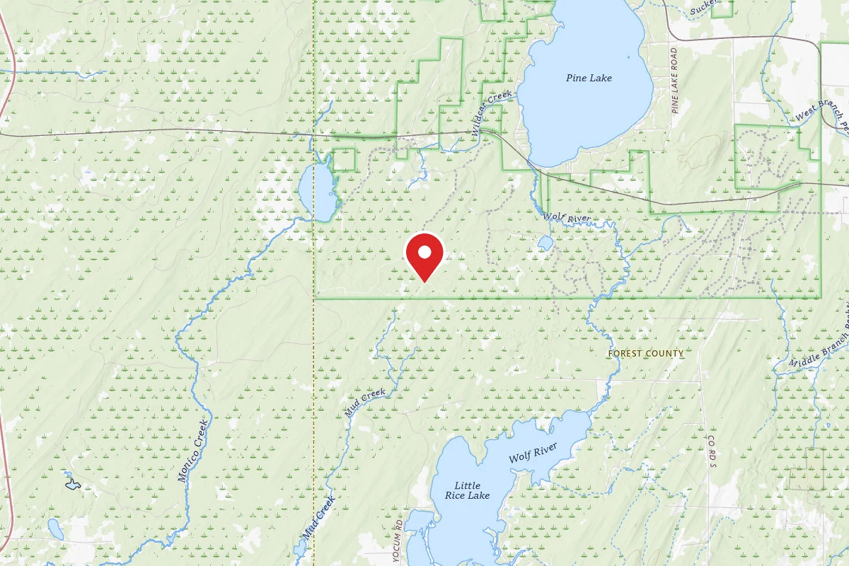Nicolet NF - Robinson Lake Dispersed