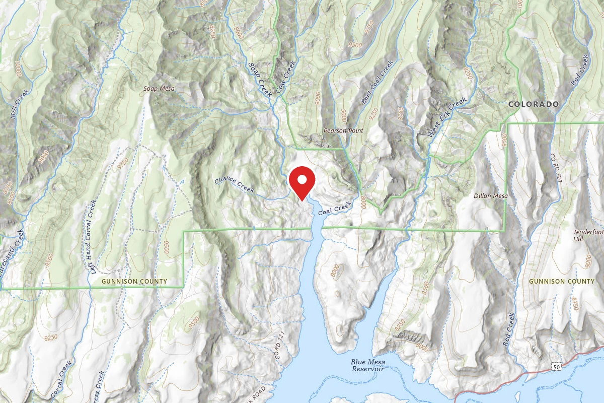 Ponderosa - Curecanti National Recreation Area