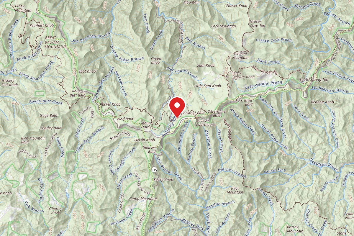 Dispersed Site near 35.3057, -82.9059