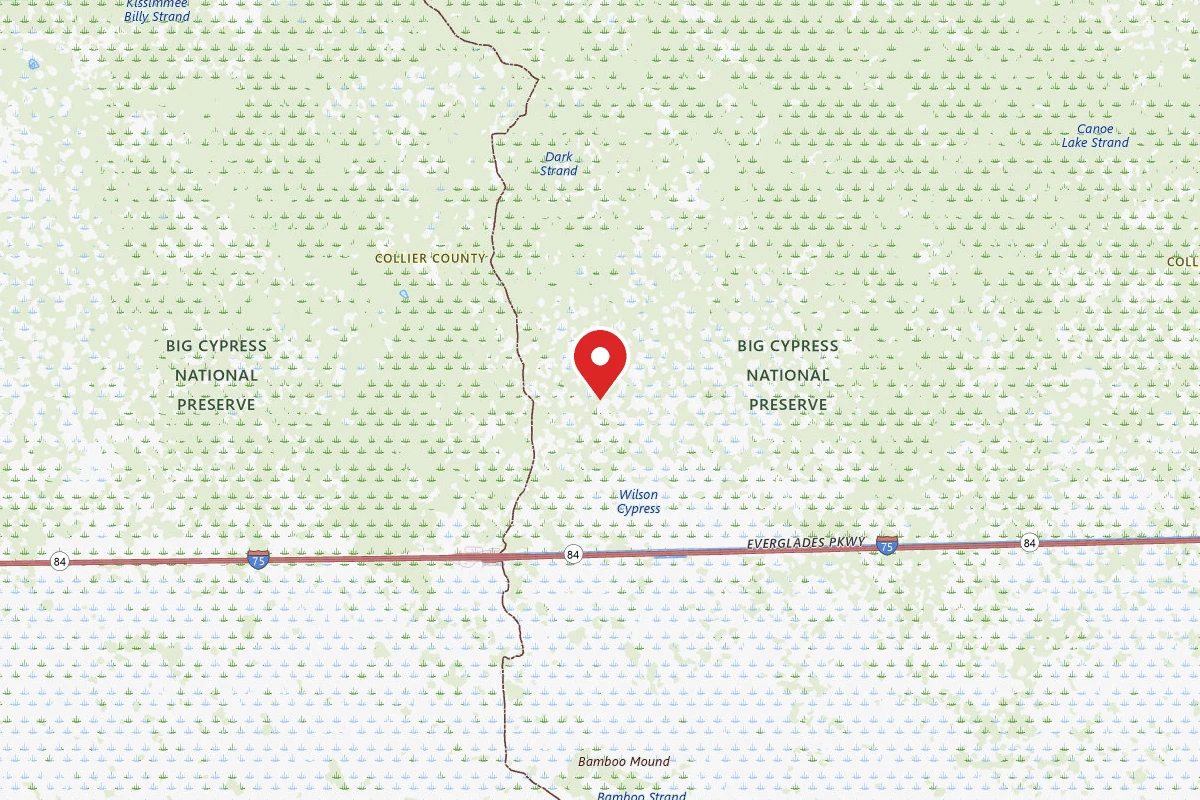 Carpenter Primitive Camp - Big Cypress National Preserve - Dispersed
