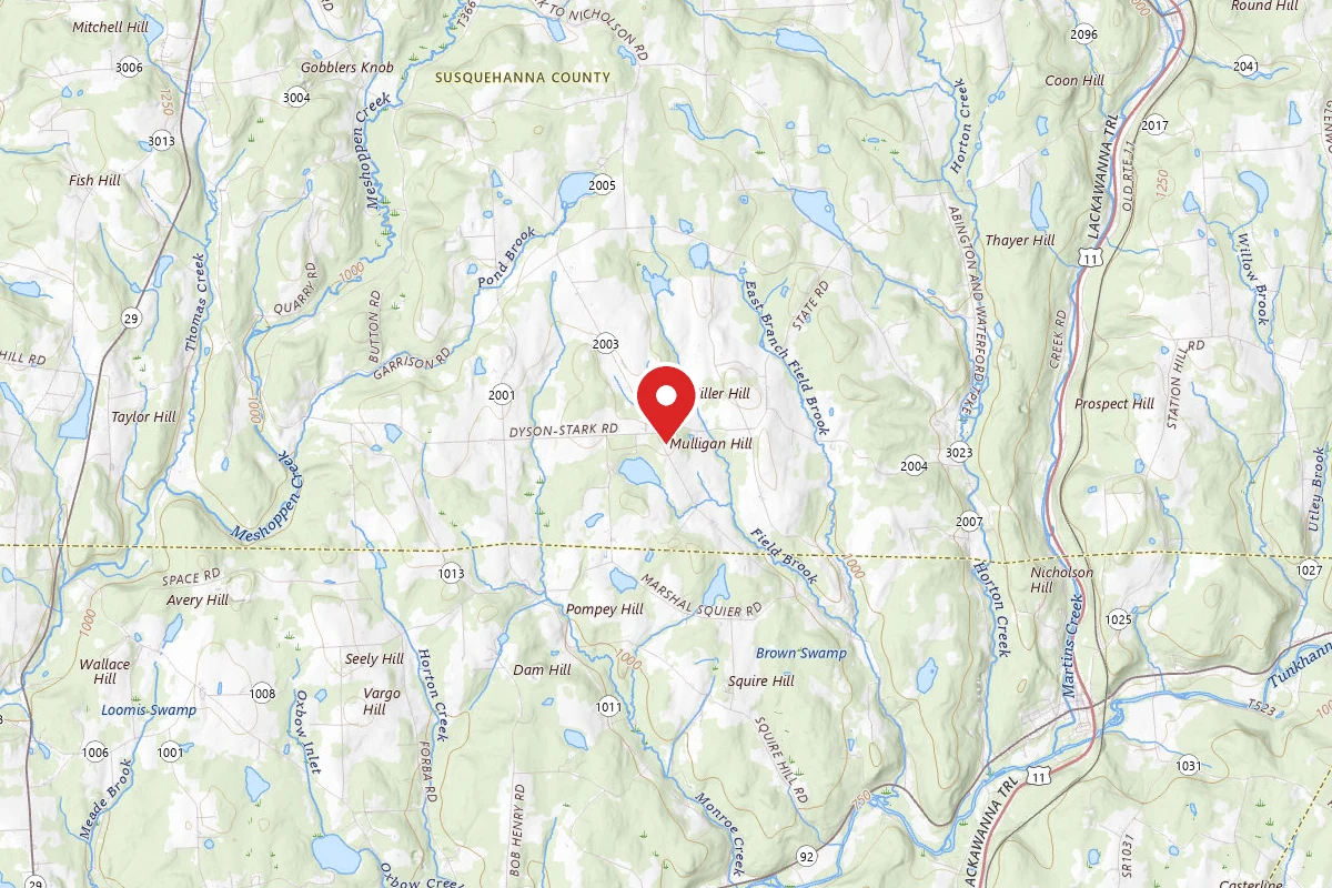 Shore Forest Campground