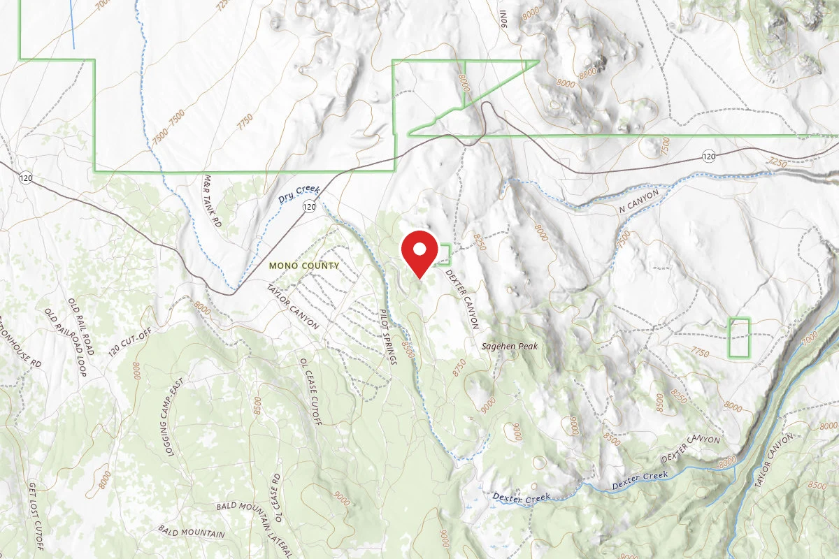 Sagehen Meadows Campground
