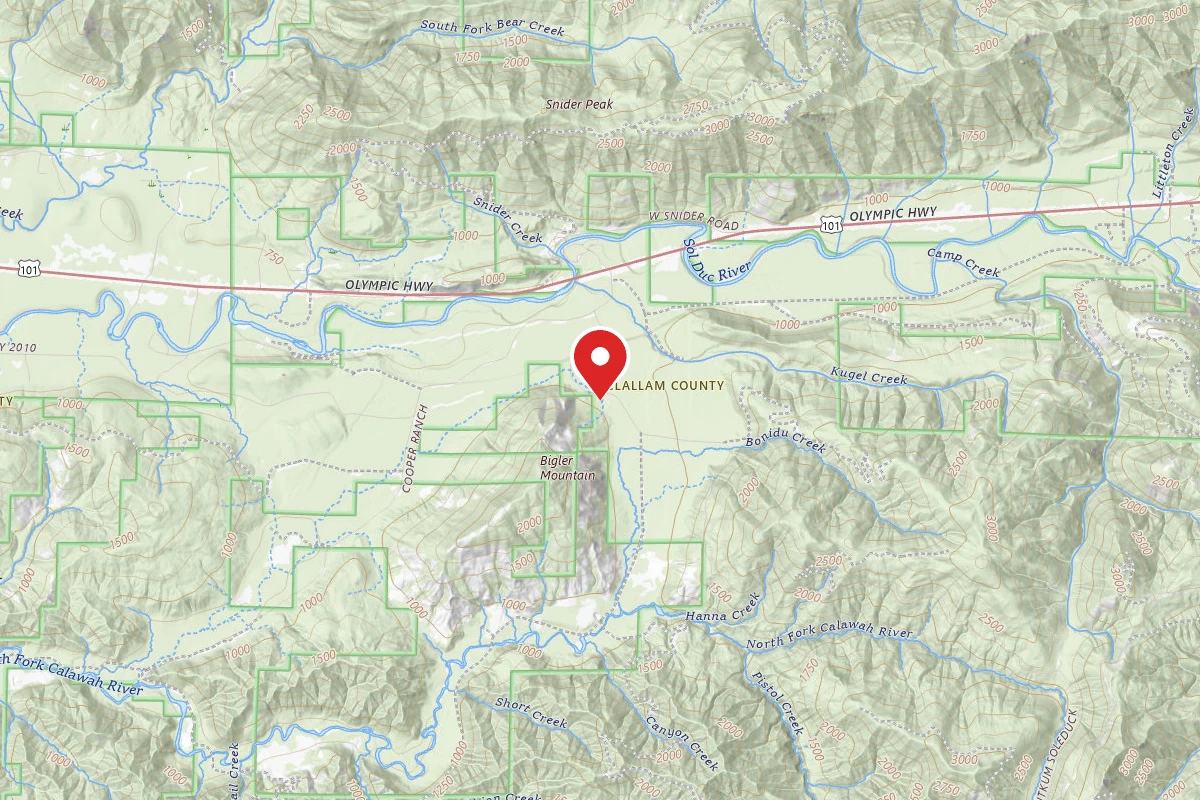 Forest Service Road 29 Dispersed Camping Loop