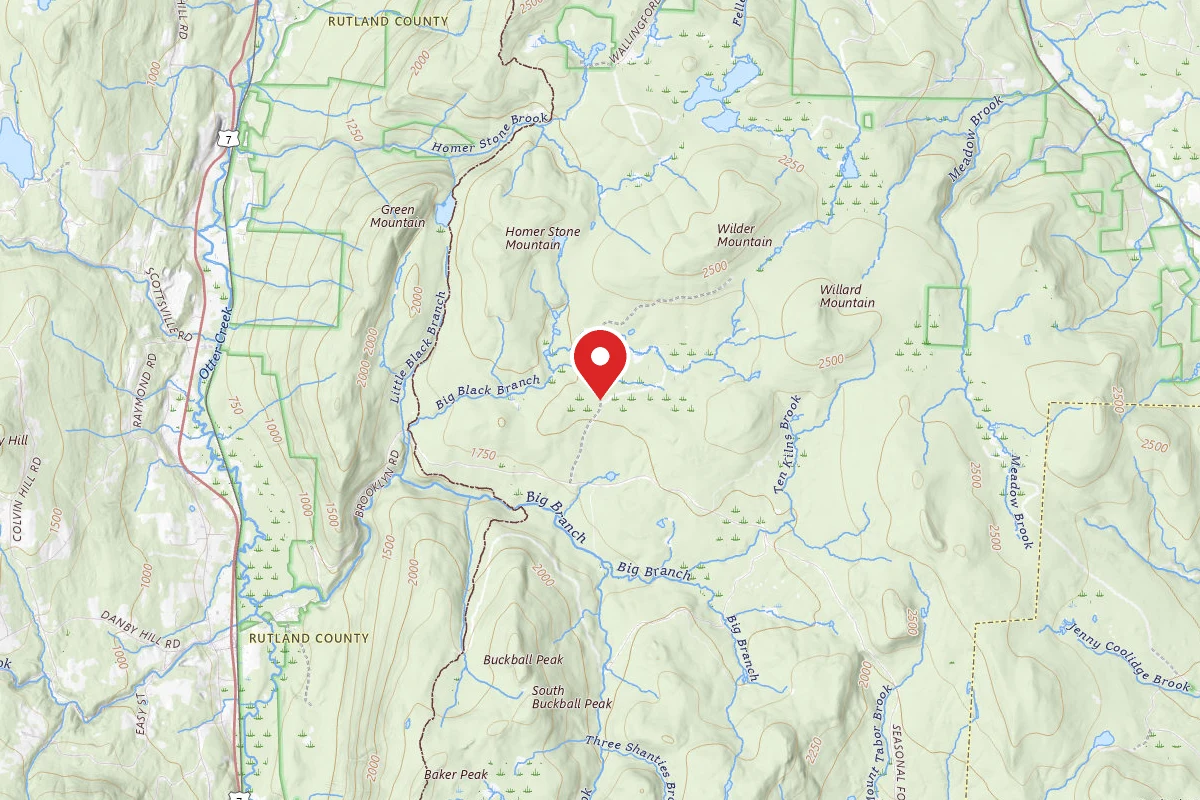 Dispersed Site near 43.3766, -72.9295