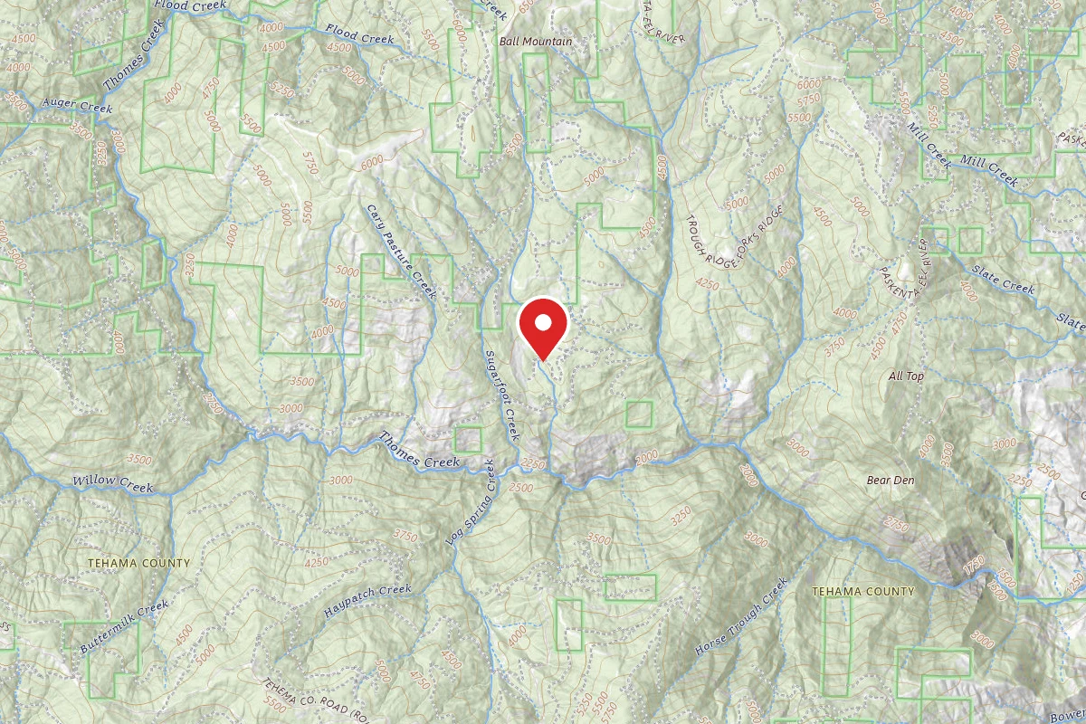Sugarfoot Campground