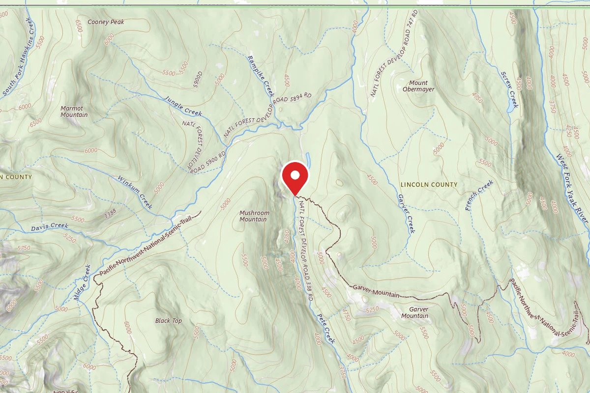 Pete Creek Meadow