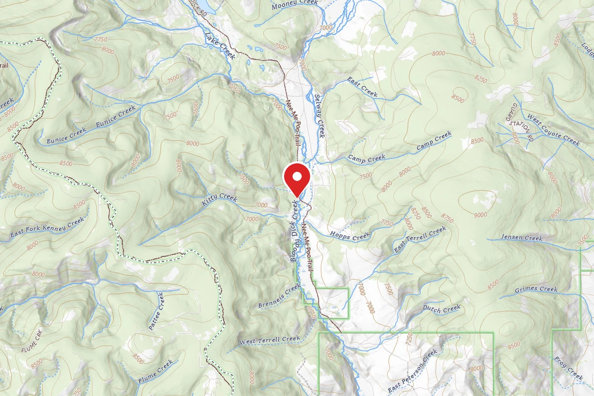 Kitty Creek Dispersed Site