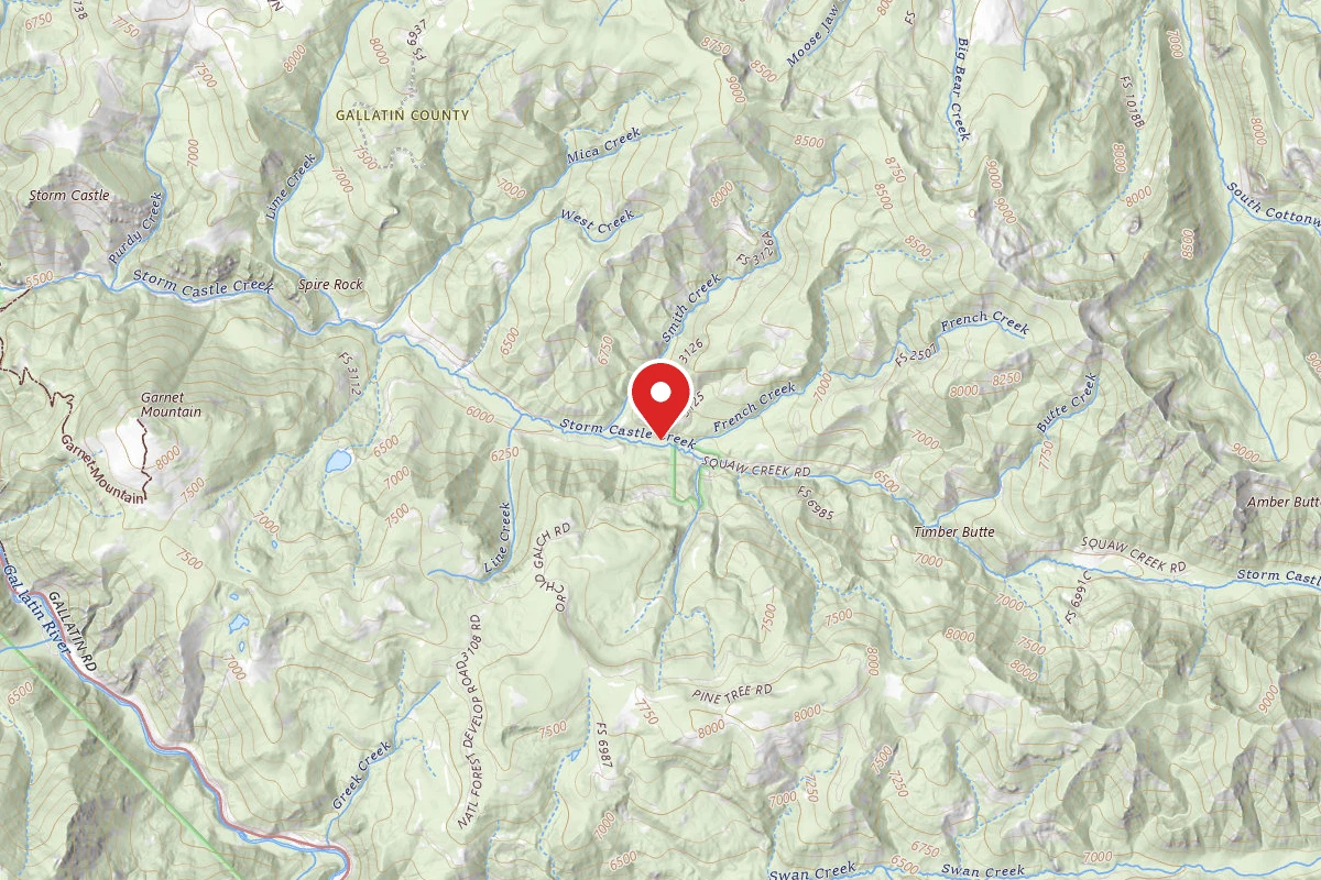 Custer Gallatin Dispersed Campsite FR132-22
