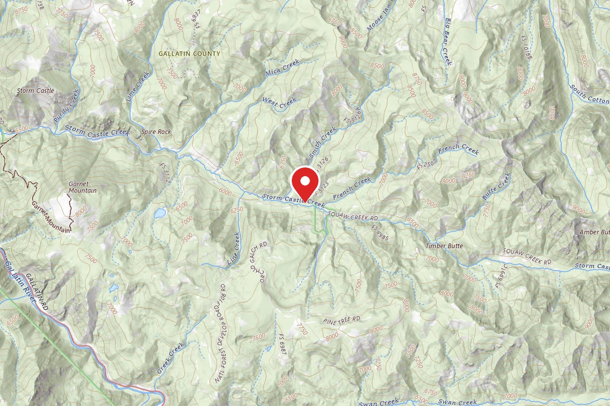 Custer Gallatin Dispersed Campsite FR132-21