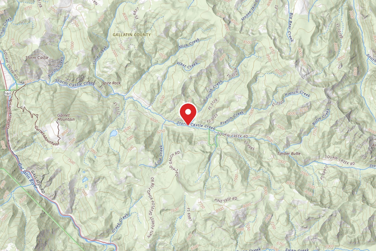Custer Gallatin Dispersed Campsite FR132-20