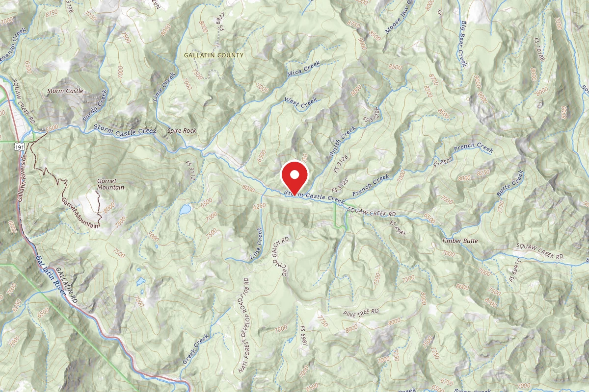 Custer Gallatin Dispersed Campsite FR132-19
