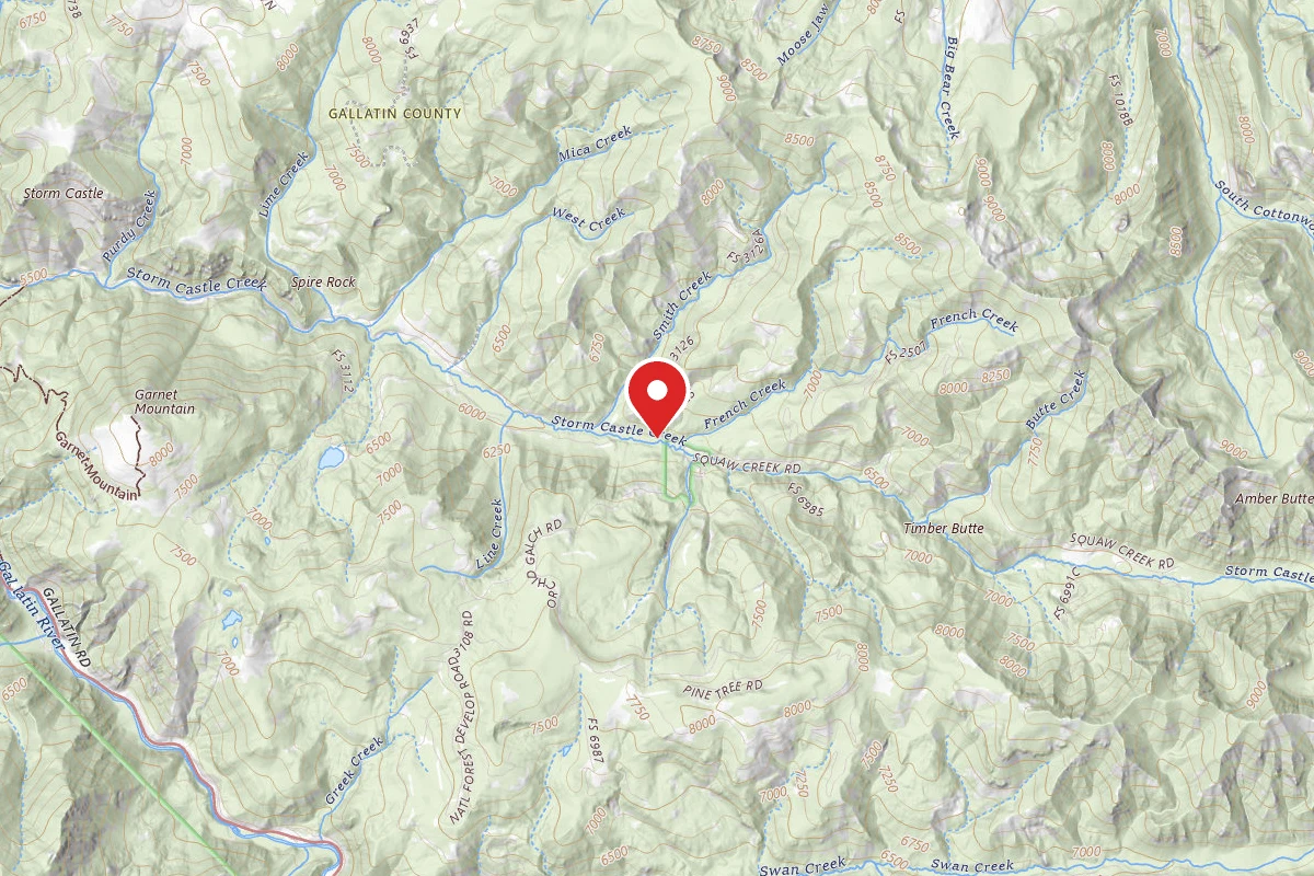 Custer Gallatin Dispersed Campsite FR132-24