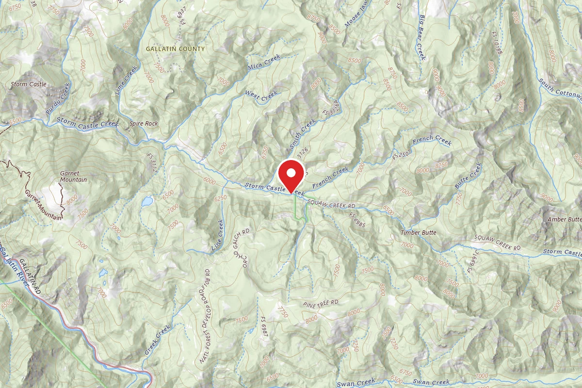 Custer Gallatin Dispersed Campsite FR132-26