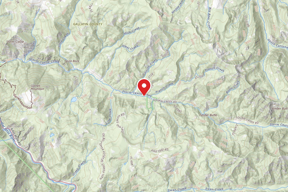 Custer Gallatin Dispersed Campsite FR132-28