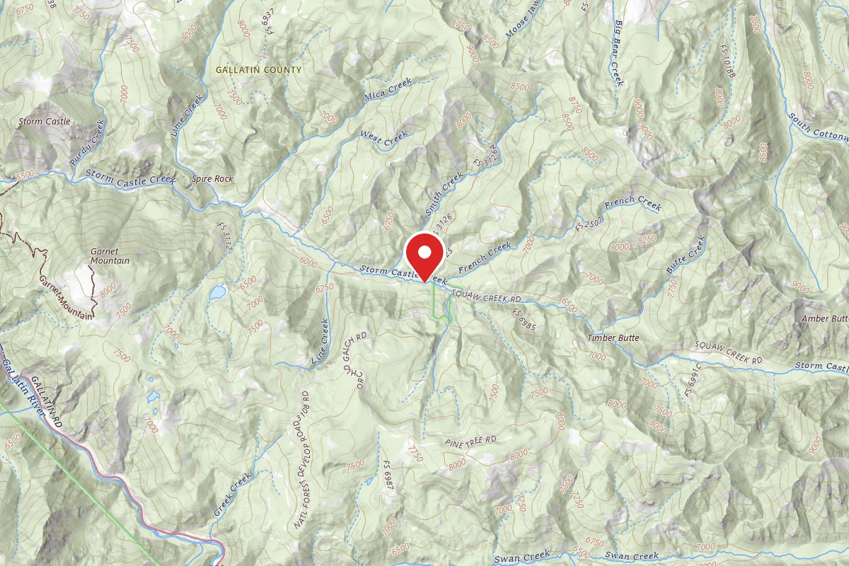 Custer Gallatin Dispersed Campsite FR132-27