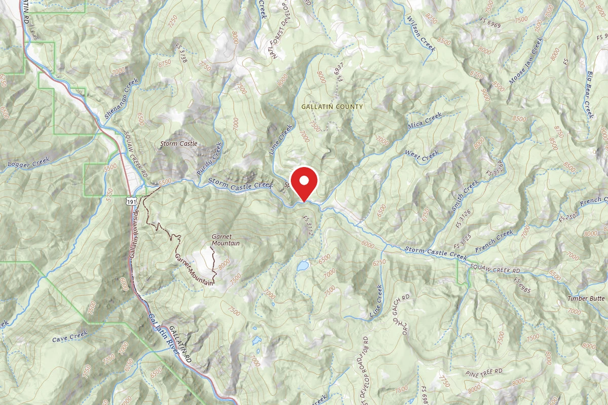 Custer Gallatin Dispersed Campsite FR132-10
