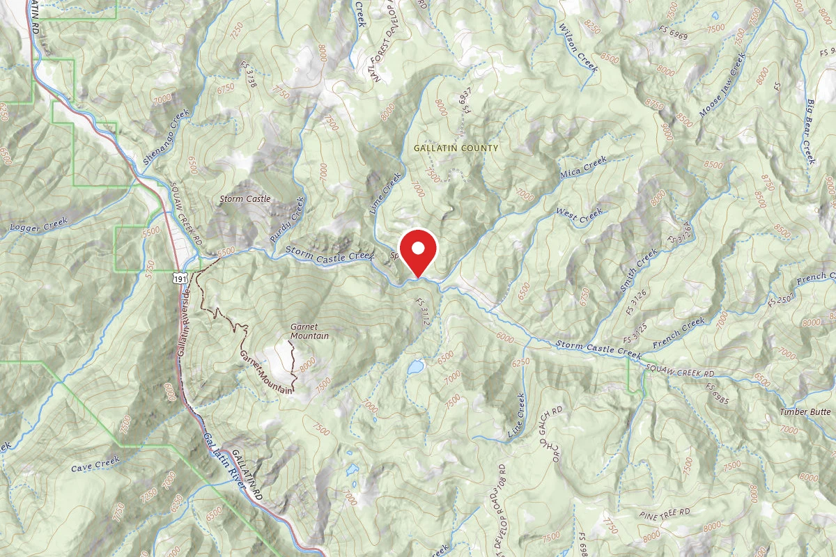 Custer Gallatin Dispersed Campsite FR132-11