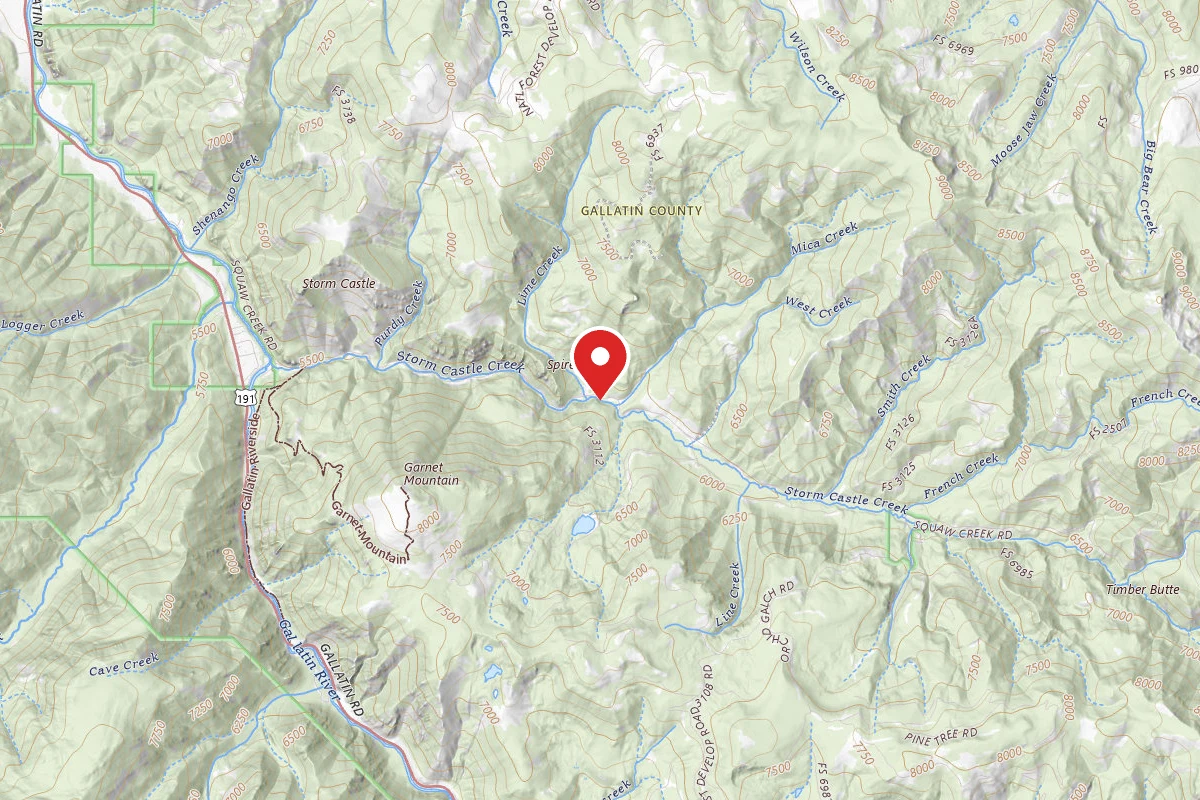 Custer Gallatin Dispersed Campsite FR132-15