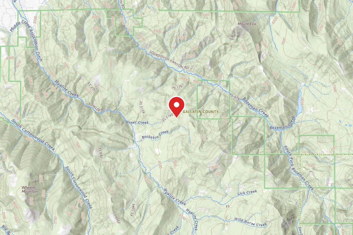 Custer Gallatin Dispersed Campsite FR 3160 MOSER CREEK ROAD 6211 076B