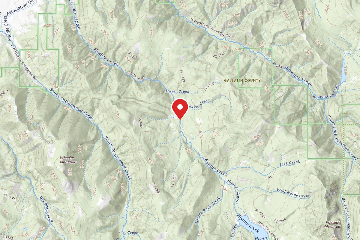 Custer Gallatin Dispersed Campsite FR 1046 LANGHOR ROAD 110A